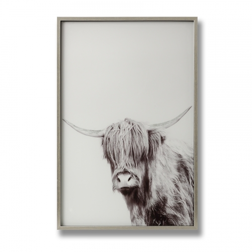 Highland Cow Left Facing Glass Image with Silver Frame