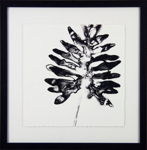 Monochrome Tropic II
