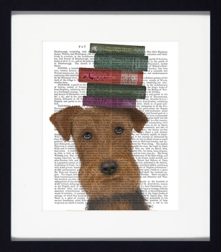 Novel Dogs I