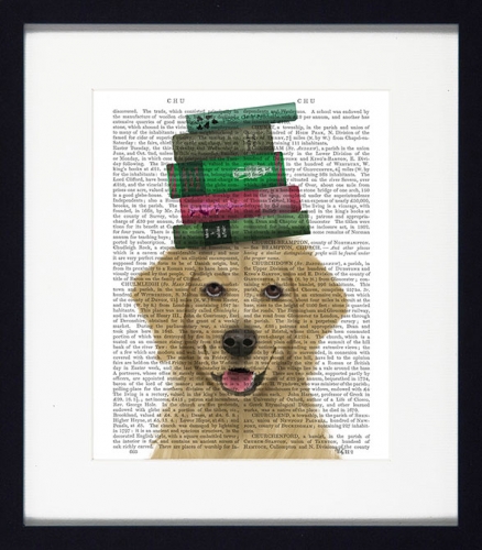 Novel Dogs VI