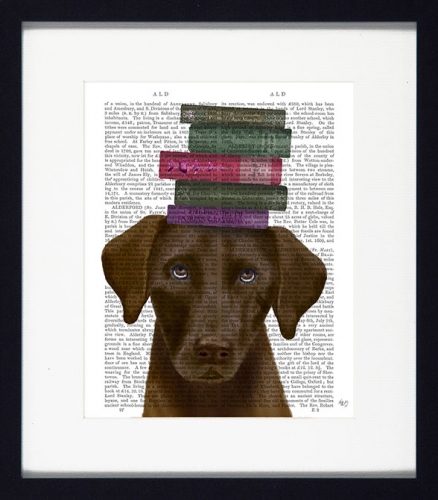 Novel Dogs VII