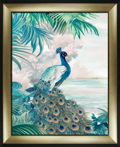Peacock Glory I