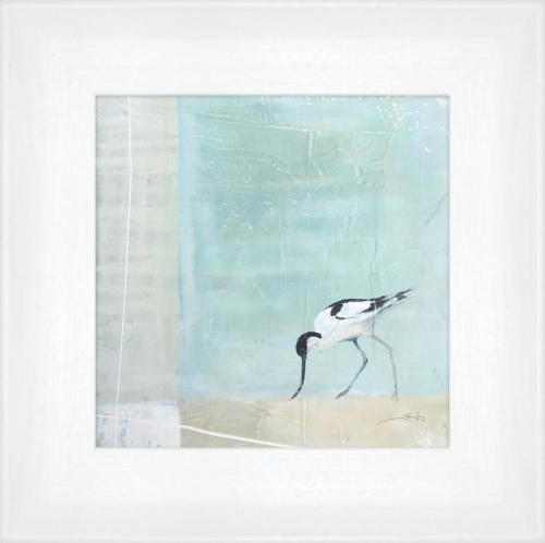 Avocet