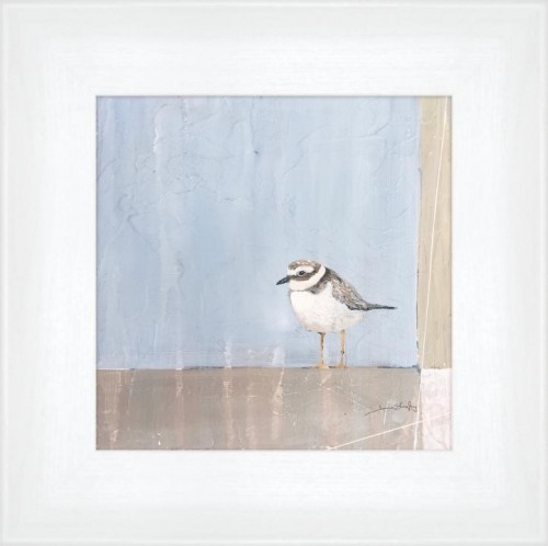 Plover