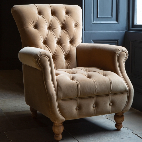 Charlie Butterscotch Velvet Chair