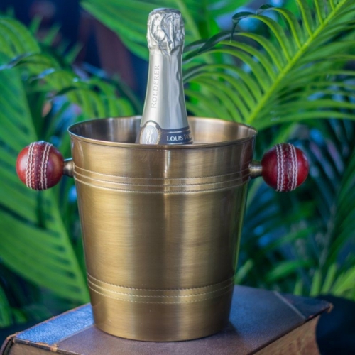 Cricket Ball Wine cooler